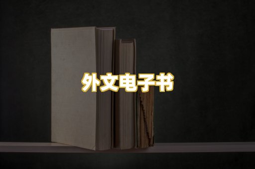 外文电子书